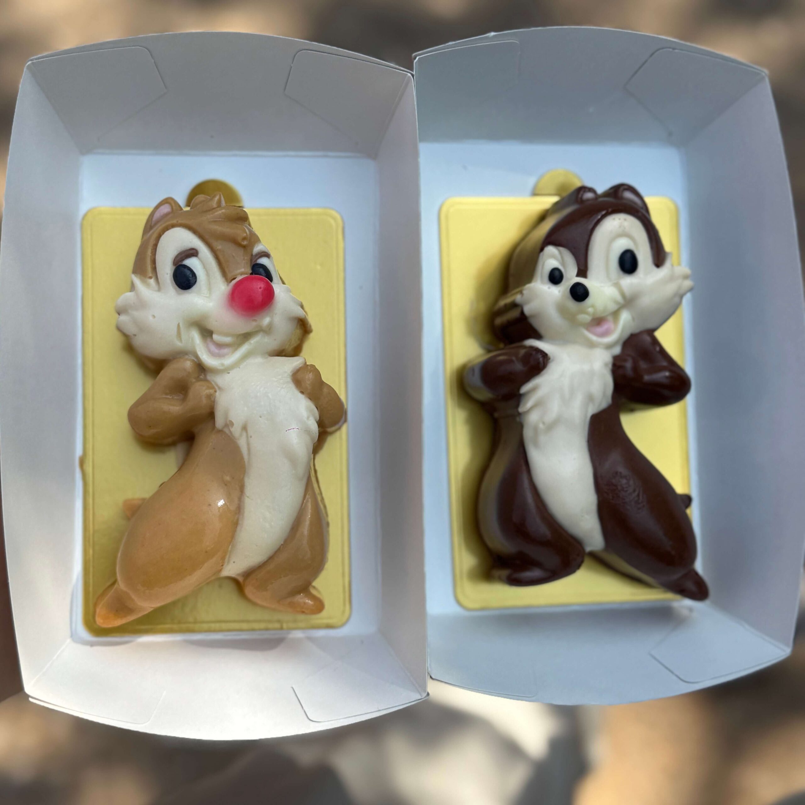 Disney Hong Kong: um guia completo para viver um dia mágico! panquecas tico e teco disney hong kong