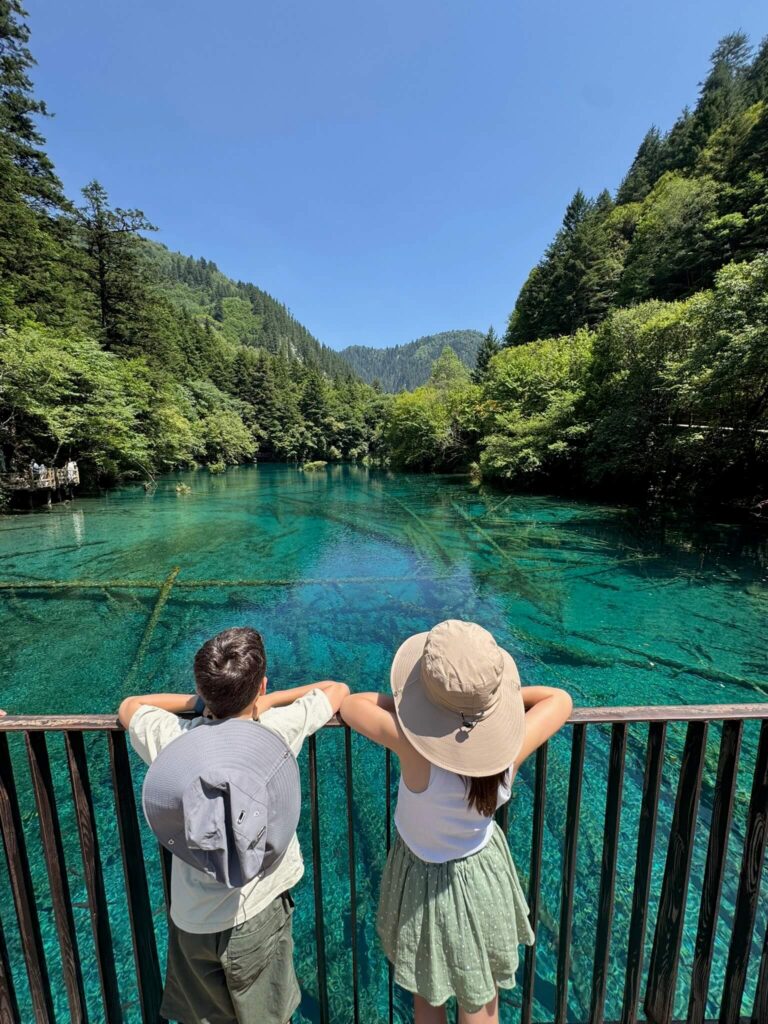 five flower lake in jiuzhaigou